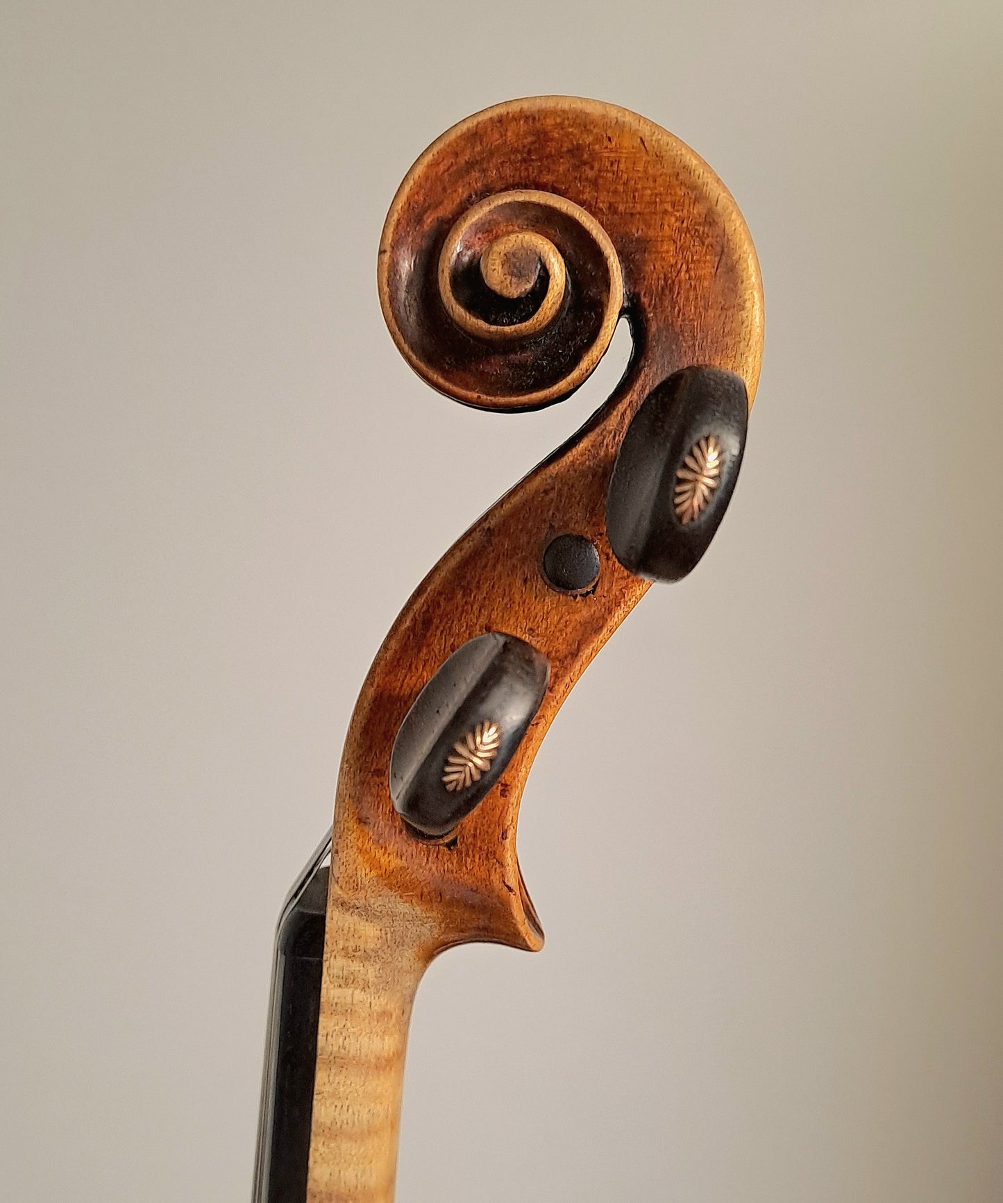 An Italian Violin, Circle of Ceruti, circa 1840