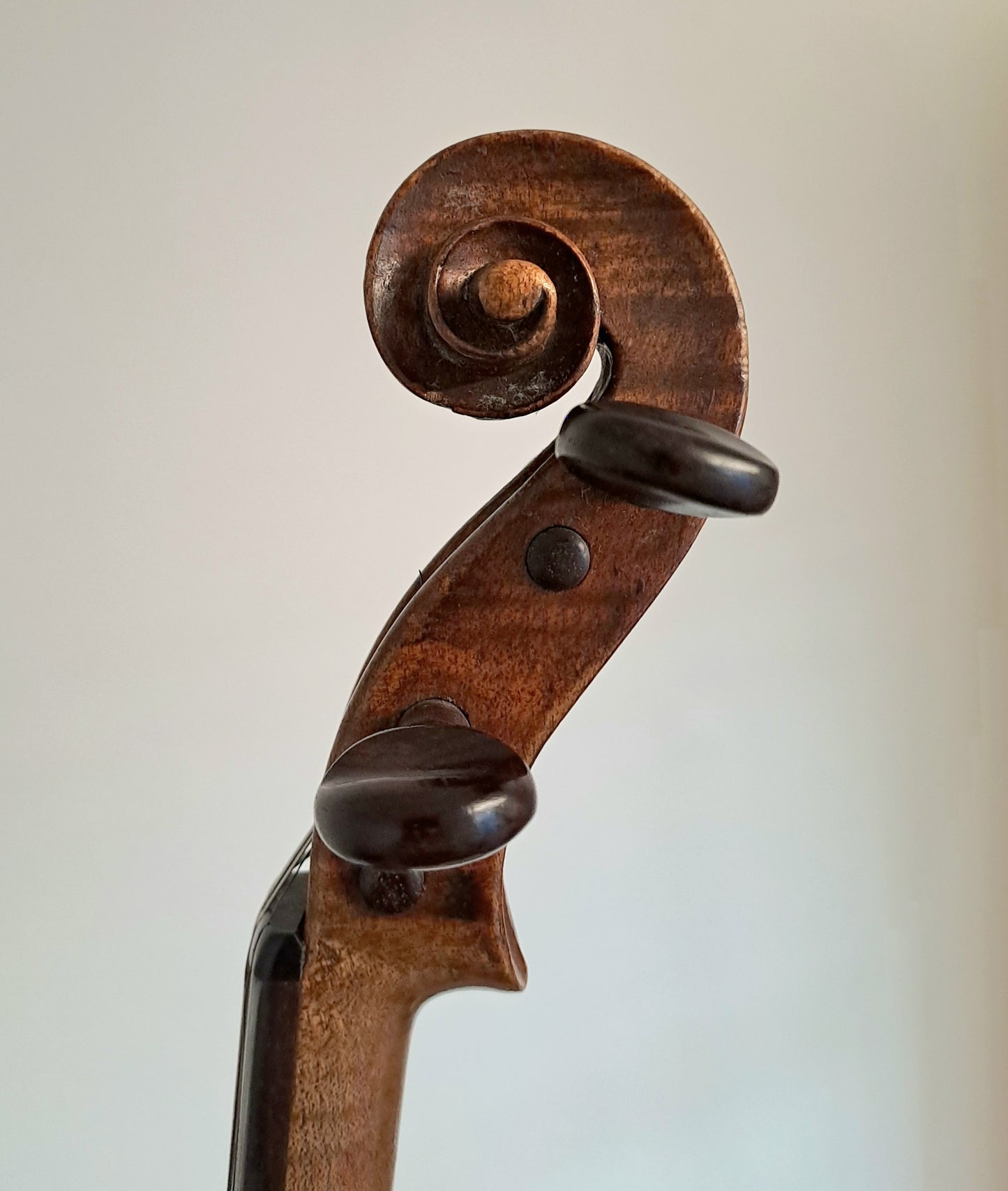 An Interesting Scottish Violin by Alexander Duncan, 1876