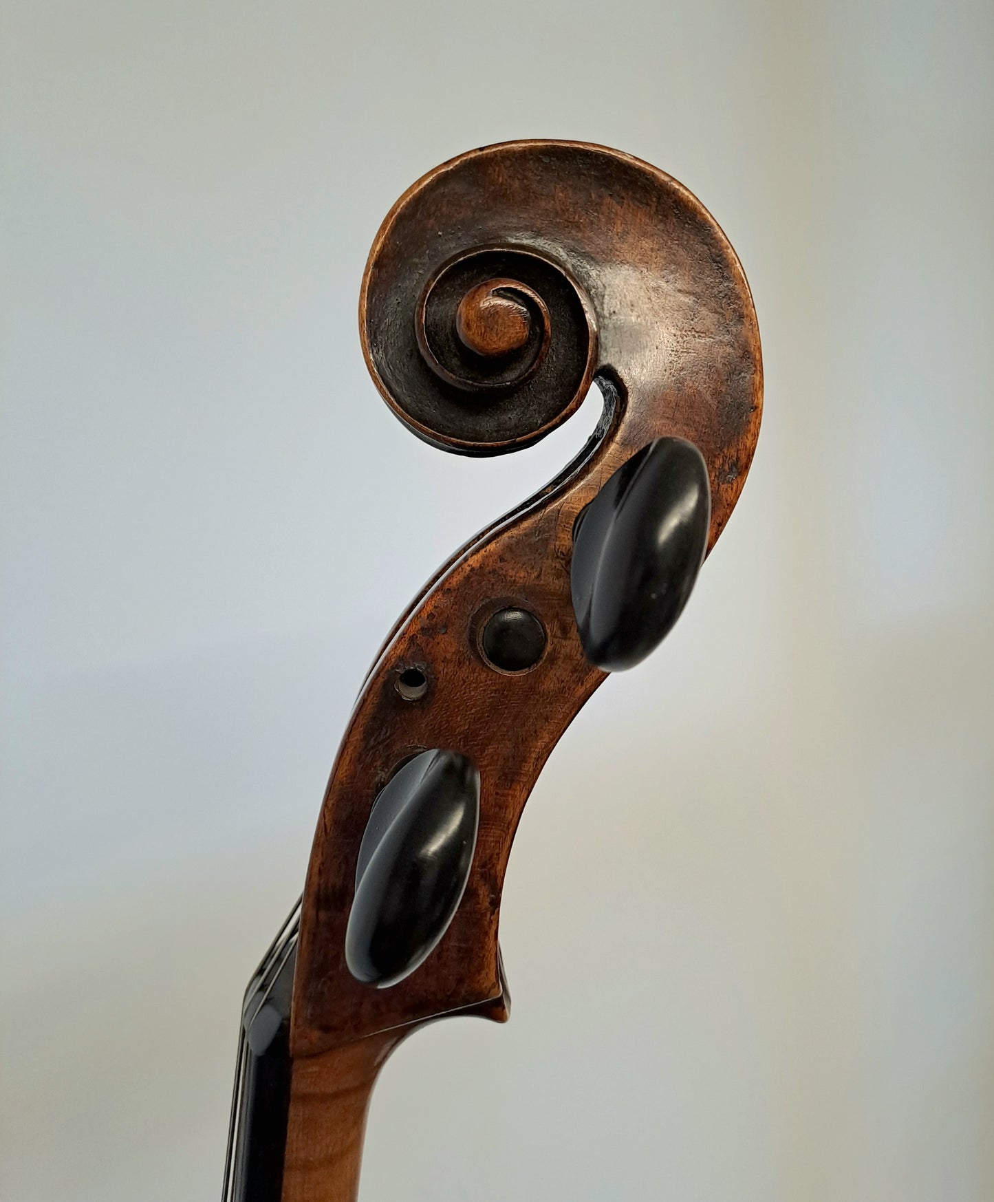 A Very Interesting Cello, Prague, circa 1750, attributed to Johann Ulrich Eberle