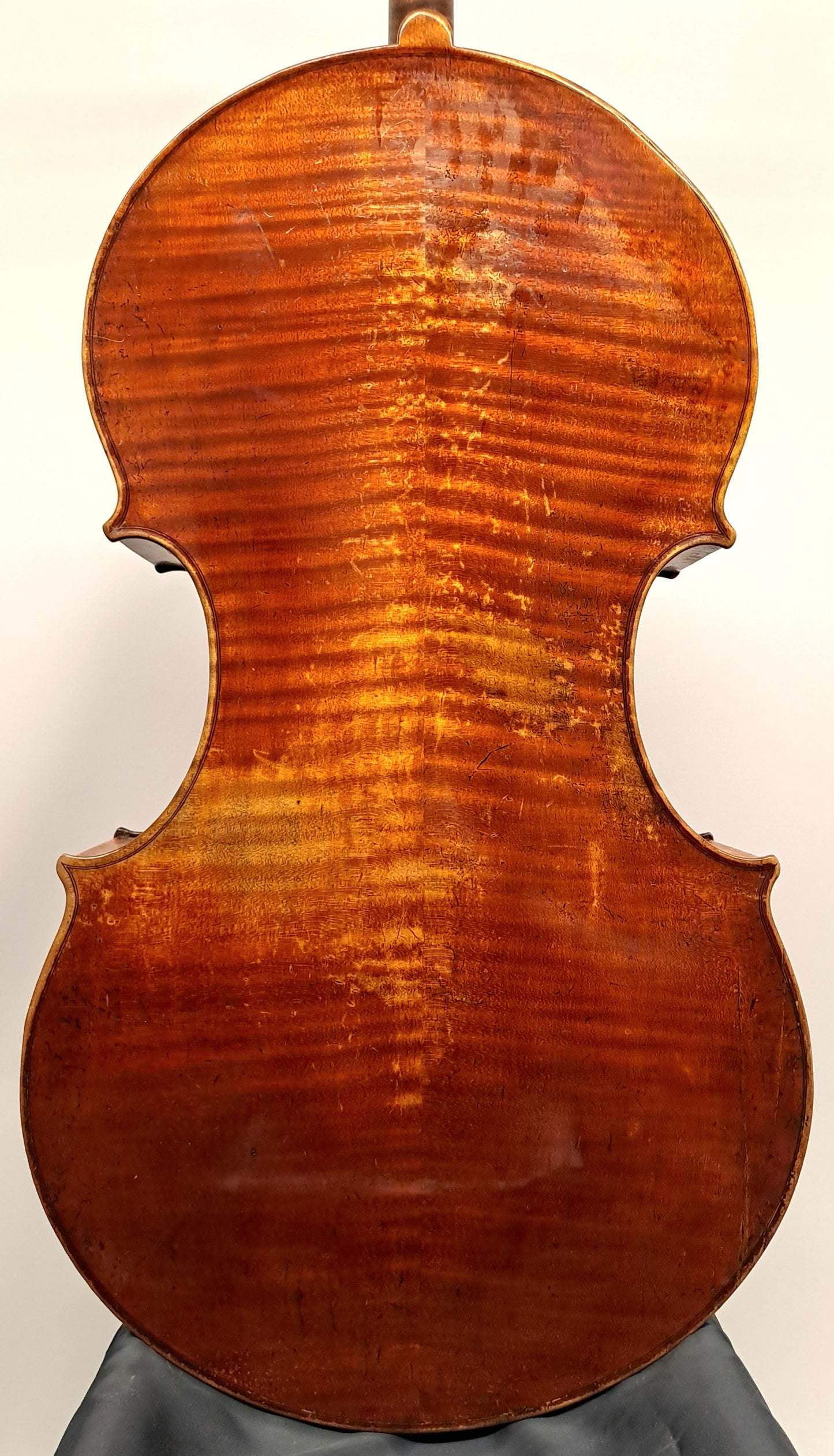 A German Cello by Alfred Stelzner, Dresden, circa 1890