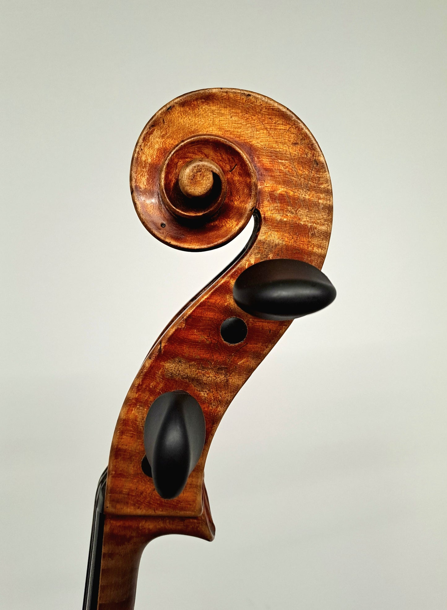 A German Cello by Alfred Stelzner, Dresden, circa 1890