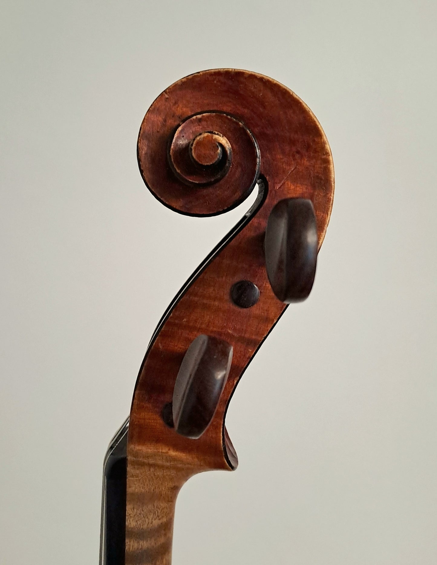 An English Violin by William Atkinson, Tottenham, 1889