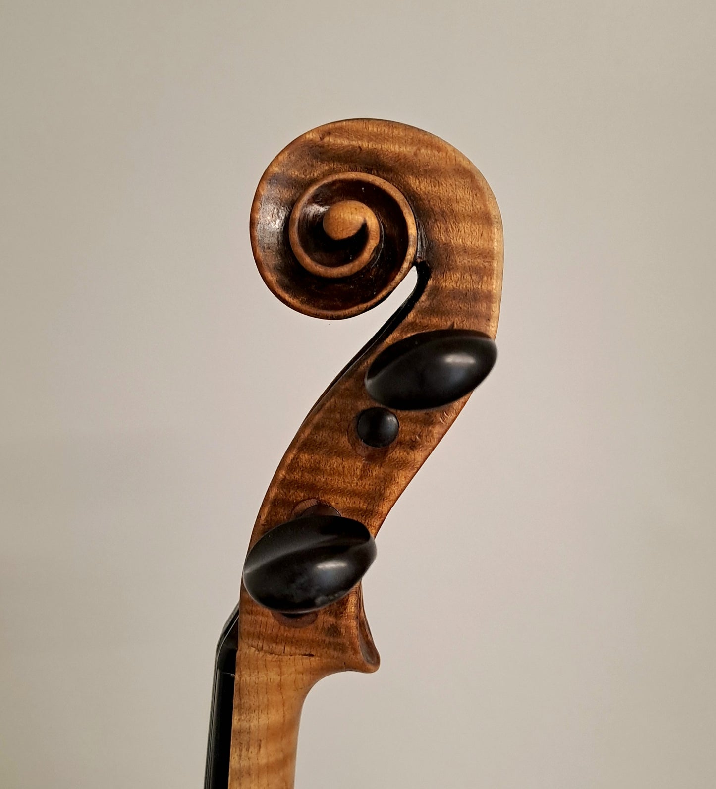 A Good and Interesting Violin, possibly by a member of the Pelizon Family, Gorizia (Friuli-Venezia), circa 1820