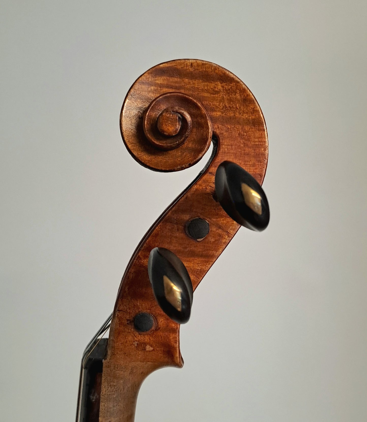 An Interesting Violin, labelled 'Dalziel & Napier, Ayr...', circa 1900, after Stradivari